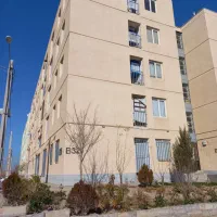 خر ید ار کیسون