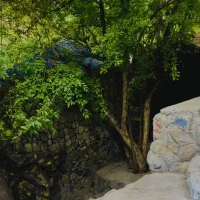 نگهبانی هتل . محل کار دلفارد