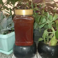 عسل اورگانیک