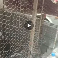 قفس کبوتر یا مرغ
