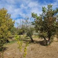 فروش باغ استثنایی