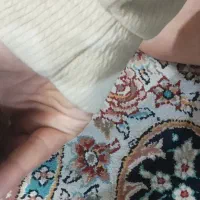 ایفون ۱۲ نرمال|موبایل|تهران, شهرک شریعتی|دیوار