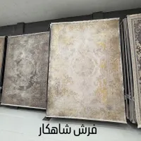 فرش خلیج فارس ۱۲۰۰شانه نخ مخمل تاپس|فرش|شیراز, شهرک سراج‎|دیوار
