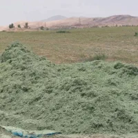کاه یونجه