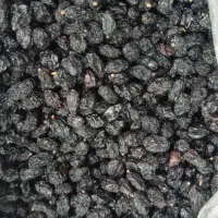 فروش خشکبار بصورت کلی و جزئی ارسال از کاشمر|خوردنی و آشامیدنی|مشهد, کوی سیدی|دیوار