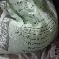 آرد نول