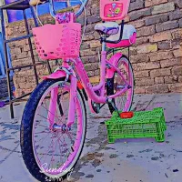 دوچرخه 20 دخترانه صورتی|دوچرخه، اسکیت، اسکوتر|تربت‌حیدریه, کلاته توکلی|دیوار