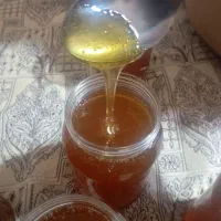 عسل طبیعی زعفران ترنجبین|خوردنی و آشامیدنی|تایباد, |دیوار