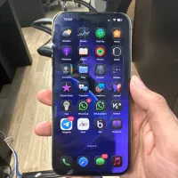 13 pro max