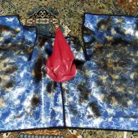 کفی پایی نیسان|قطعات یدکی و لوازم جانبی|شوش, |دیوار