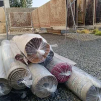 قالی شویی قیطران با مدیریت سورنی