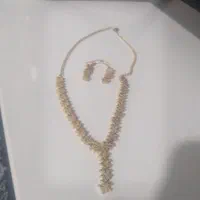 سرویس بدلیجات رنگ ثابت