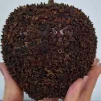 هدیه ایرانی های اصیل