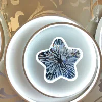 بهترینن‌وباکیفترین‌لوسترهایع‌تولید‌ووارداتی|لوستر و چراغ آویز|ری, علایین|دیوار