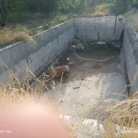 فروش یک قطعه باغ|فروش دفتر صنعتی، کشاورزی، تجاری|خمین, |دیوار