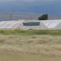 واگذاری گلخانه چهارصد و پنجاه متری تکمیل