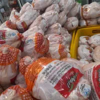 استخدام مرغ فروشی