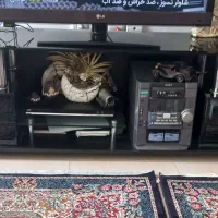 میزتلوزیون شیشه ای دودی|میز تلویزیون|مشهد, امیریه|دیوار