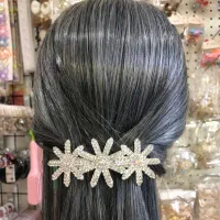 گیره فرانسوی مجلسی|زیورآلات و اکسسوری|نکا, |دیوار