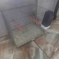 فنج