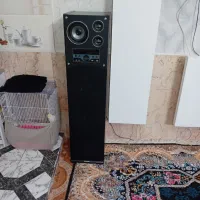 یک جفت اسپیکر دنای