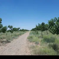 ویلا باغ واقع در ایوانکی(زمین کشاورزی)|فروش دفتر صنعتی، کشاورزی، تجاری|ری, دیلمان|دیوار