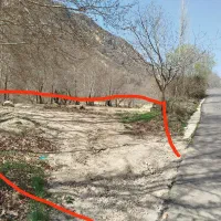 زمین کشاورزی و برنجکاری|فروش زمین و ملک کلنگی|پاتاوه, |دیوار