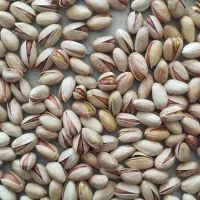 کار در منزل