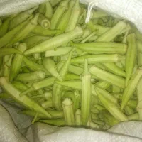 بامیه گرن الغزال تازه از باغ