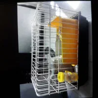 قفس مناسب خرگوش مینی لوپ