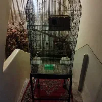 قفس پرنده