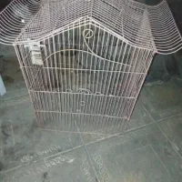 قفس پرنده