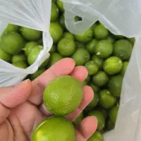 لیمو سبز