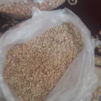 عدس و نخود درجه یک