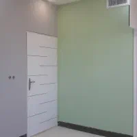 *نقاشی ساختمان*|خدمات پیشه و مهارت|بیرجند, |دیوار