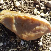 عتیقه|کلکسیون و سرگرمی|تهران, شیخ هادی|دیوار