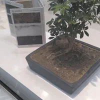 کابینت و اجرا صفر تا صد دکوراسیون منزل|مصالح و تجهیزات ساختمان|گلبهار, شهر جدید گلبهار|دیوار