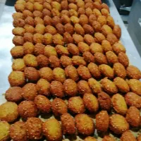 تولید کتلت وفلافل اقتصادی