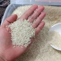 برنج هاشمی