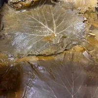 برگ مو کنسروی|خوردنی و آشامیدنی|اصفهان, جلفا|دیوار