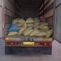 پیاز زعفران ۵۰ مخصوص خطا کاری|خدمات باغبانی و درختکاری|تربت‌حیدریه, حیدرآباد|دیوار