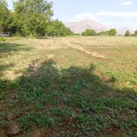 زمین محمدصالحی