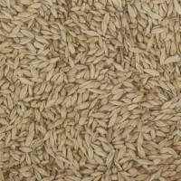 جو خارجی دامی