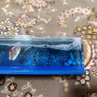 کشتی تزیینی واسه ماشین