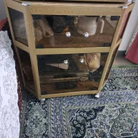 میز عسلی جلو مبلی و میز تلویزیون قدیمی|میز تلویزیون|بابل, |دیوار