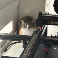 نیاز به خانواده