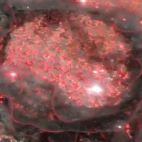 مژده مژده ب عروس دامادها|سرویس روتختی|زاهدان, |دیوار