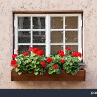 خدمات باغبانی و تمامی امور باغ و باغ شهری و ..