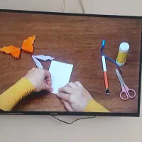 تلویزیون۴۳اینچ ویزرد