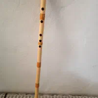 ساز نی